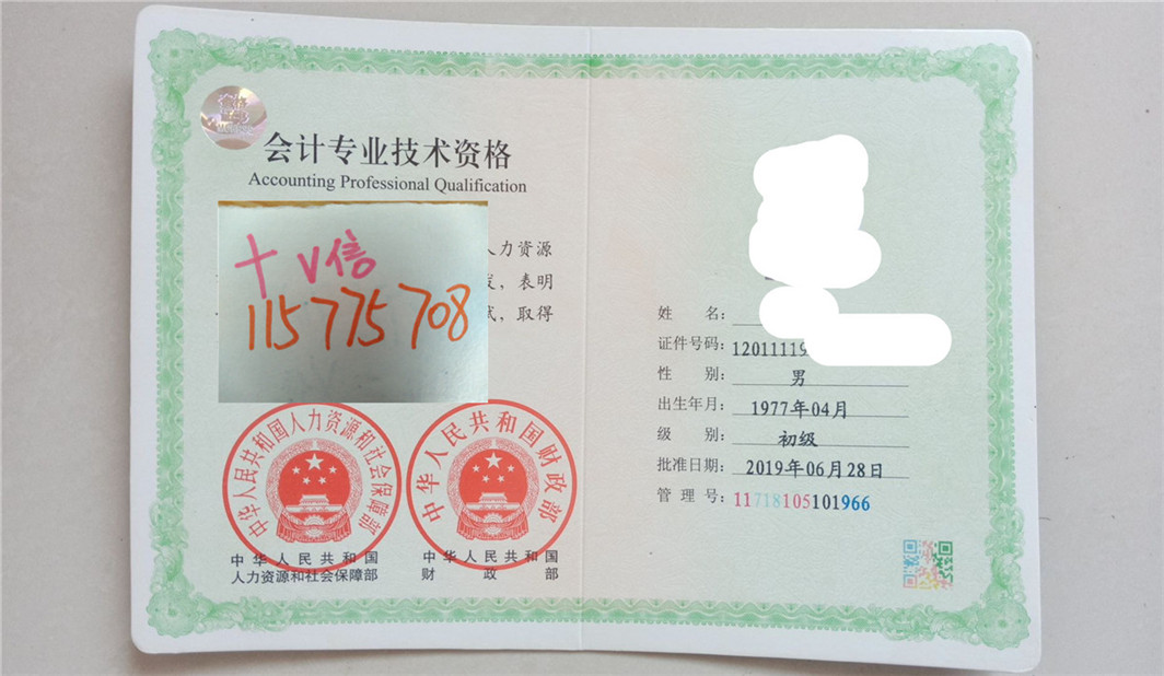 初级中级高级会计师统计师经济师审计师证图片