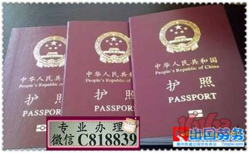 签证 签证图片 护照 护照图片 2019世界各国护照 各国护照 中国护照