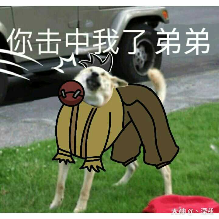 杂技演员表情包