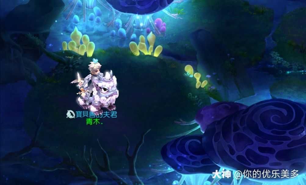 羽灵神搭配看过来这是一个超级喜欢外观的小哥哥!