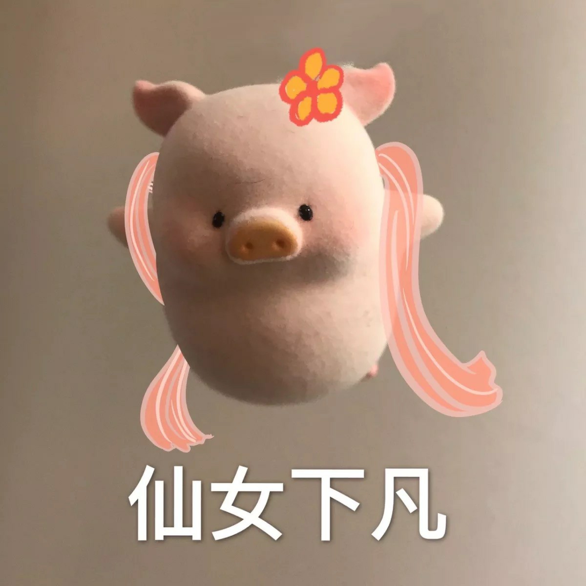 罐头猪lulu太可爱了!忍不住做几个表情包6138