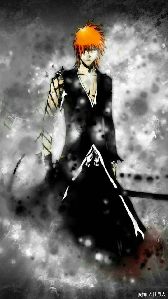 阴阳师x死神(bleach 境界) 阴阳师第五次ip联动 ssr阶式神 黑崎一护