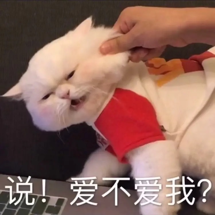 一组可爱的猫猫表情包 #百鬼杂谈# #没事唠两句# #表情包