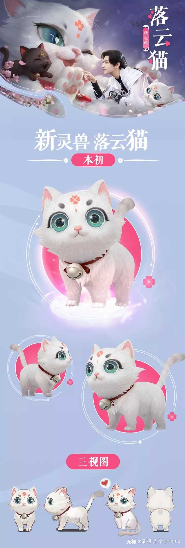 6款全新【猫】灵兽坐骑任你撸,都是仙界跌落人间的小可爱!