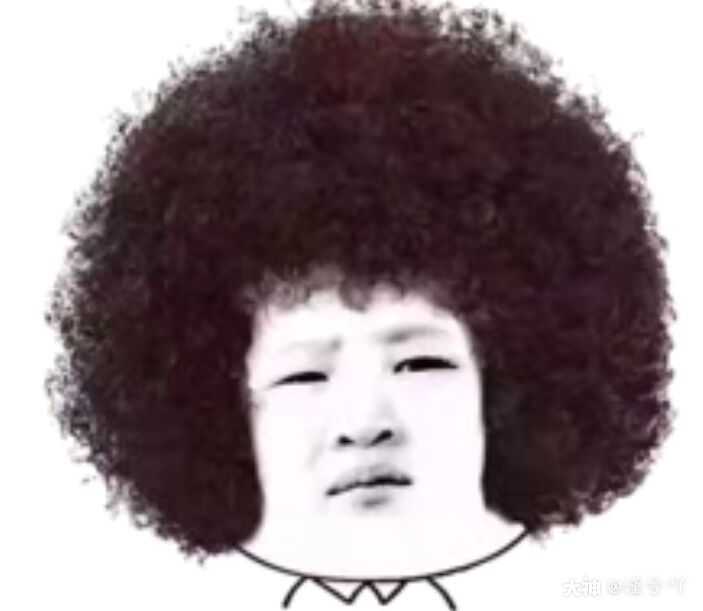 然后我把我图图的样子发给七瑟看 结果七瑟给我来了张爆炸头表情包.