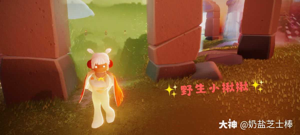 关注 #光遇日常# 纯正野生小揪揪