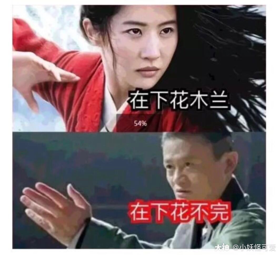 在下花木兰,在下花不完.