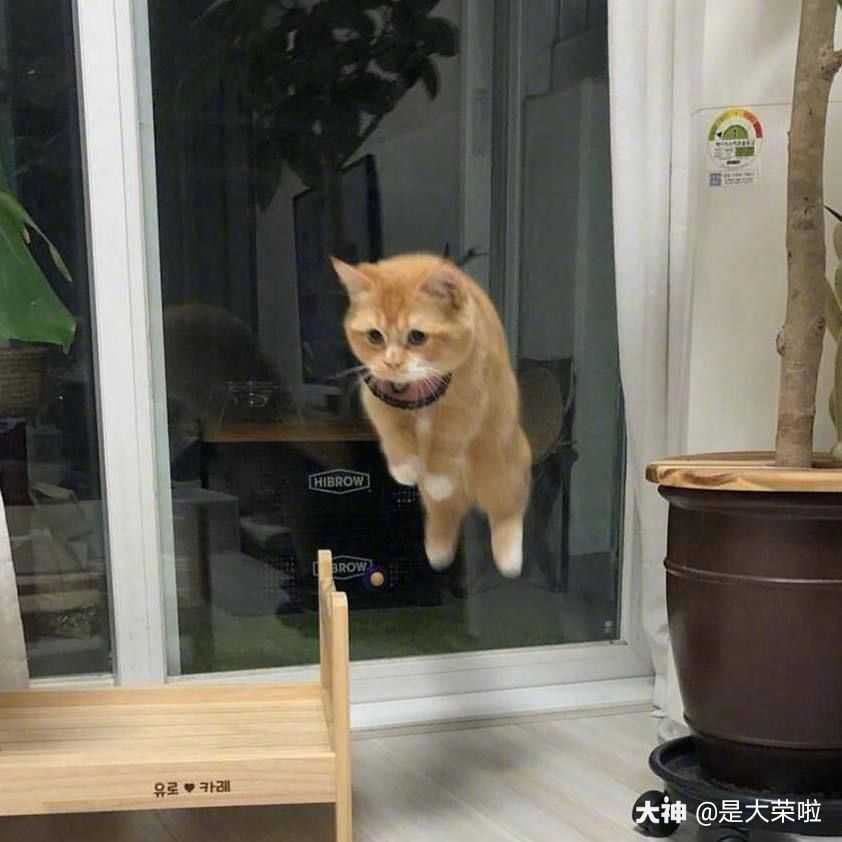 djm4yxaxwr 安卓的小伙伴可以直接在游戏左上角头像这镲点开.