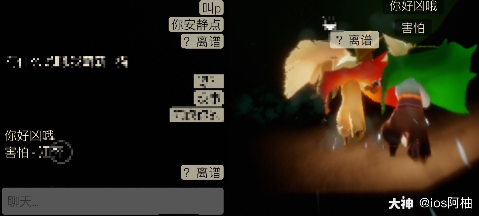光之崽种