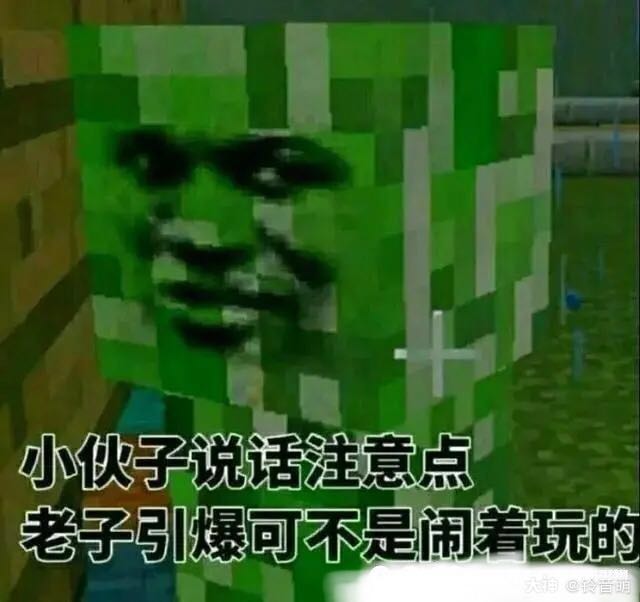 我的世界 #mc表情包大赛##恶搞.