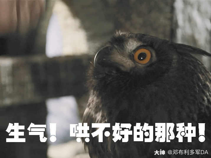 哈利波特魔法觉醒 霍格沃茨的猫头鹰因要为下.