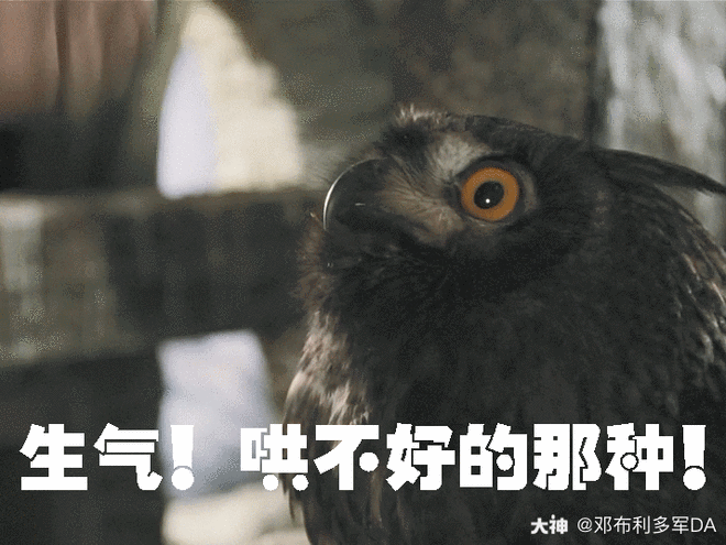 哈利波特魔法觉醒 霍格沃茨的猫头鹰因要为下.