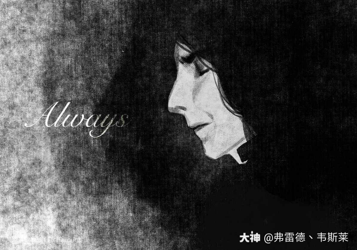 斯内普教授生日快乐!虽然.1194_834