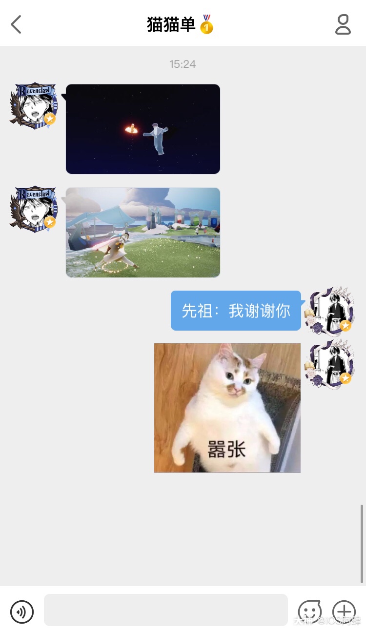 光遇##云野追光##光遇日常# 来自先祖的问候和秋裤丽人猫猫单@猫之语
