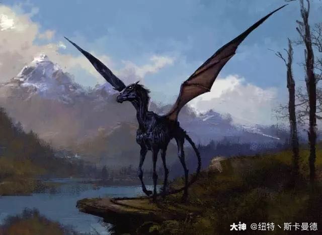 伊微卡斯内普 @可爱哒叽歪 夜骐 (thestral)是飞马的一个品种.