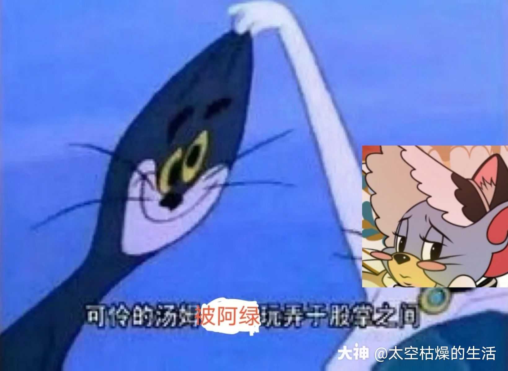 可怜的汤姆,被阿绿玩弄于股掌之间@小绿墩儿