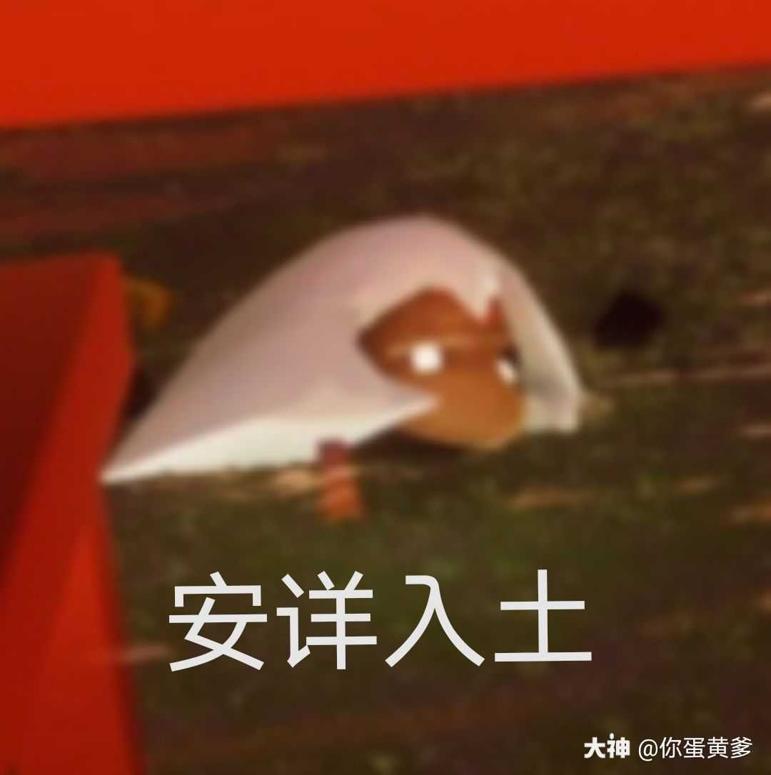 作品名称:入土为安