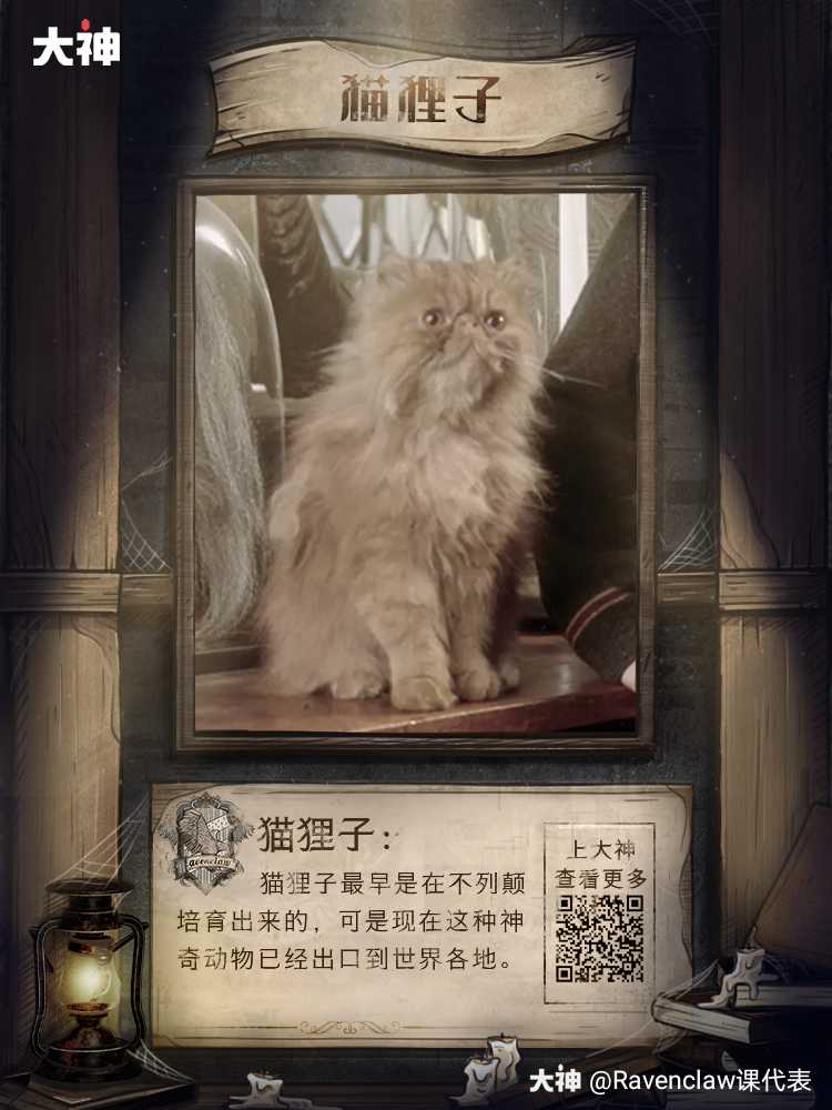 ravenclaw课代表:【本期要点】猫狸子 猫狸子是一种长得像猫的神奇