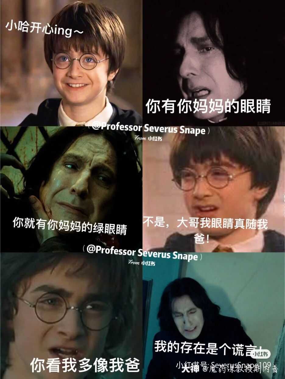 g丨哈利波特
