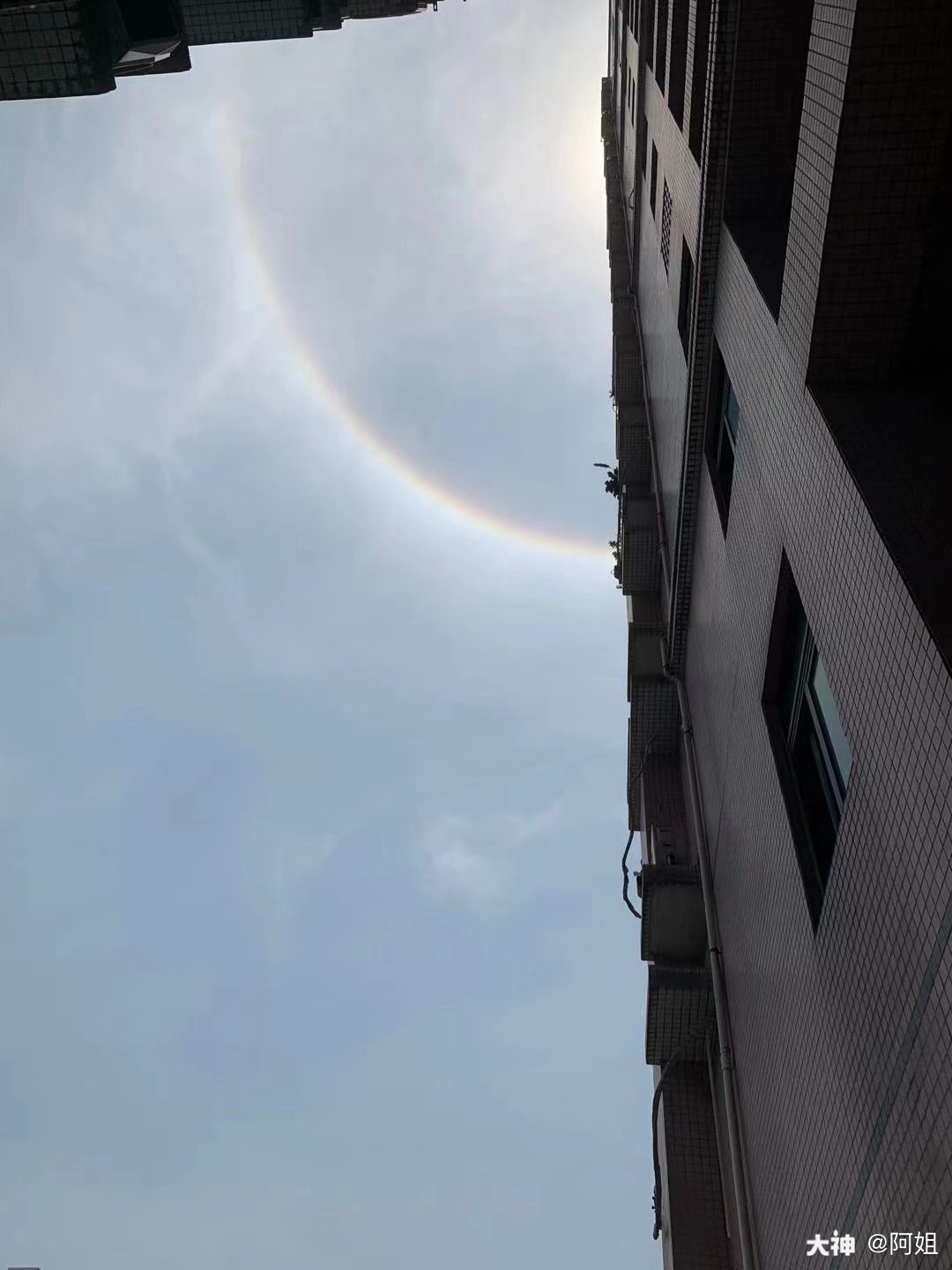今天广州的日晕 像极了悟.