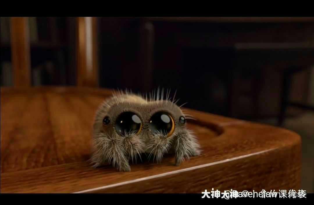 霍格沃茨校园话题冲榜大.