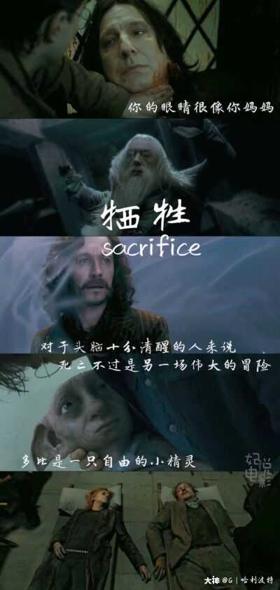 sacrifice-牺.