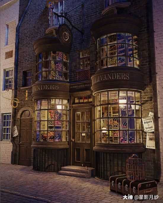 奥利凡德家族(ollivander)奥利凡德经营的魔杖店,是巷