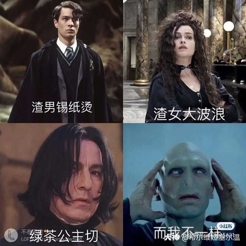 魔药课教授斯内普