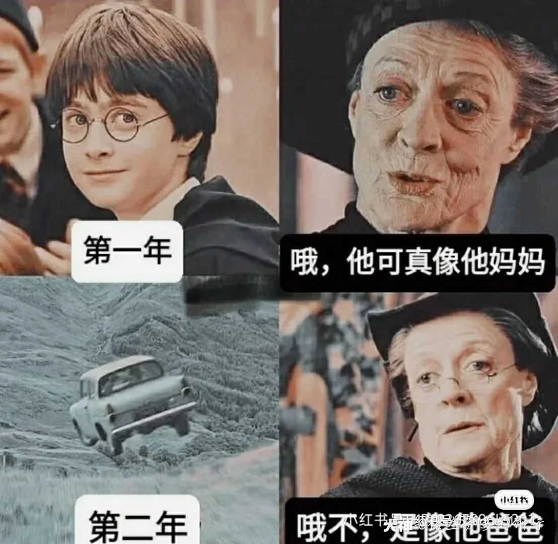 哈利波特表情包