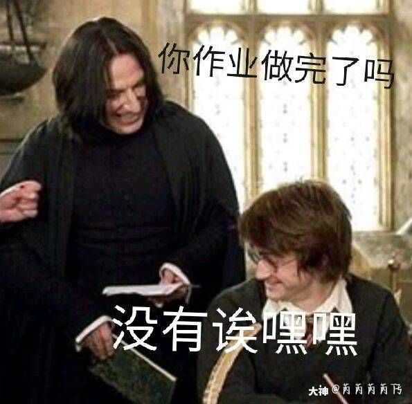 哈利波特表情包 哈哈.