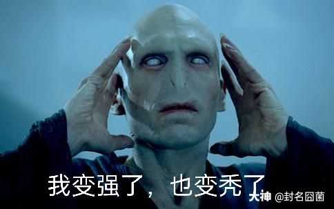 伏地魔篇#哈利波特表情包.