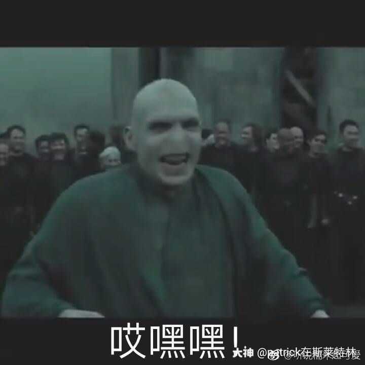 哈利波特魔法觉醒 #哈利波特表情包# patrick在斯莱特林          7