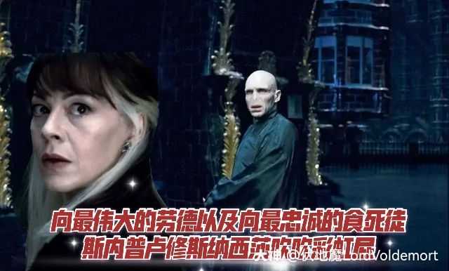 伏地魔lordvoldemort 以及最忠诚的食死徒@魔药课教授斯内普@纳西莎