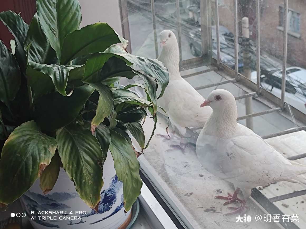 这充满智慧的眼神