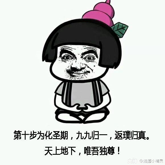 用表情包打开这些年被"官方"承认的六个"神仙阶段"