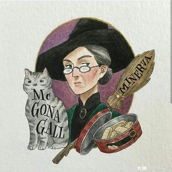 一组霍格沃茨教授们的肖像画.
