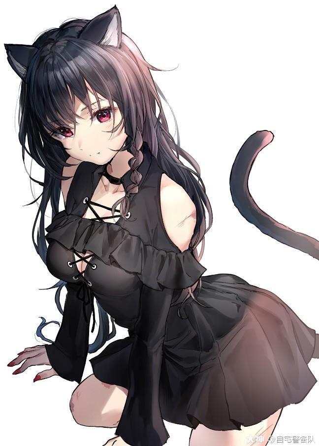 猫有九条命 命命多姿色 #动漫壁纸##二次元