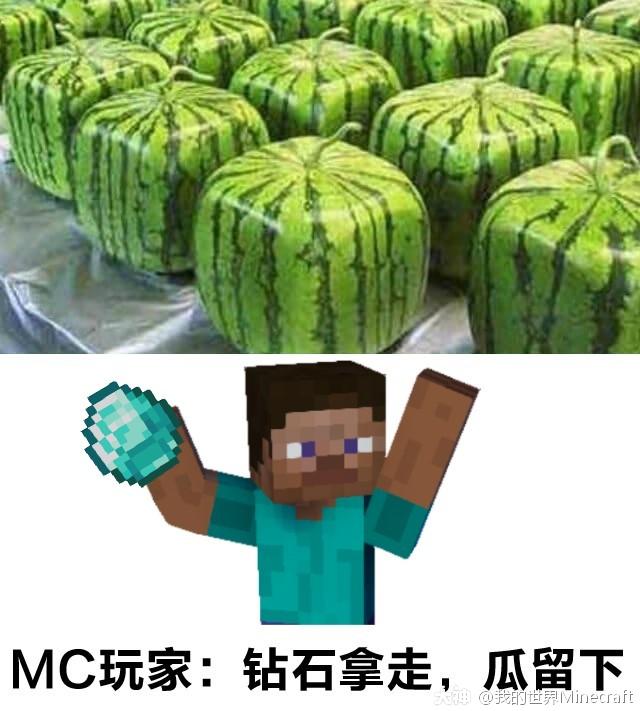 我的世界 当mc玩家外出时看到这样.