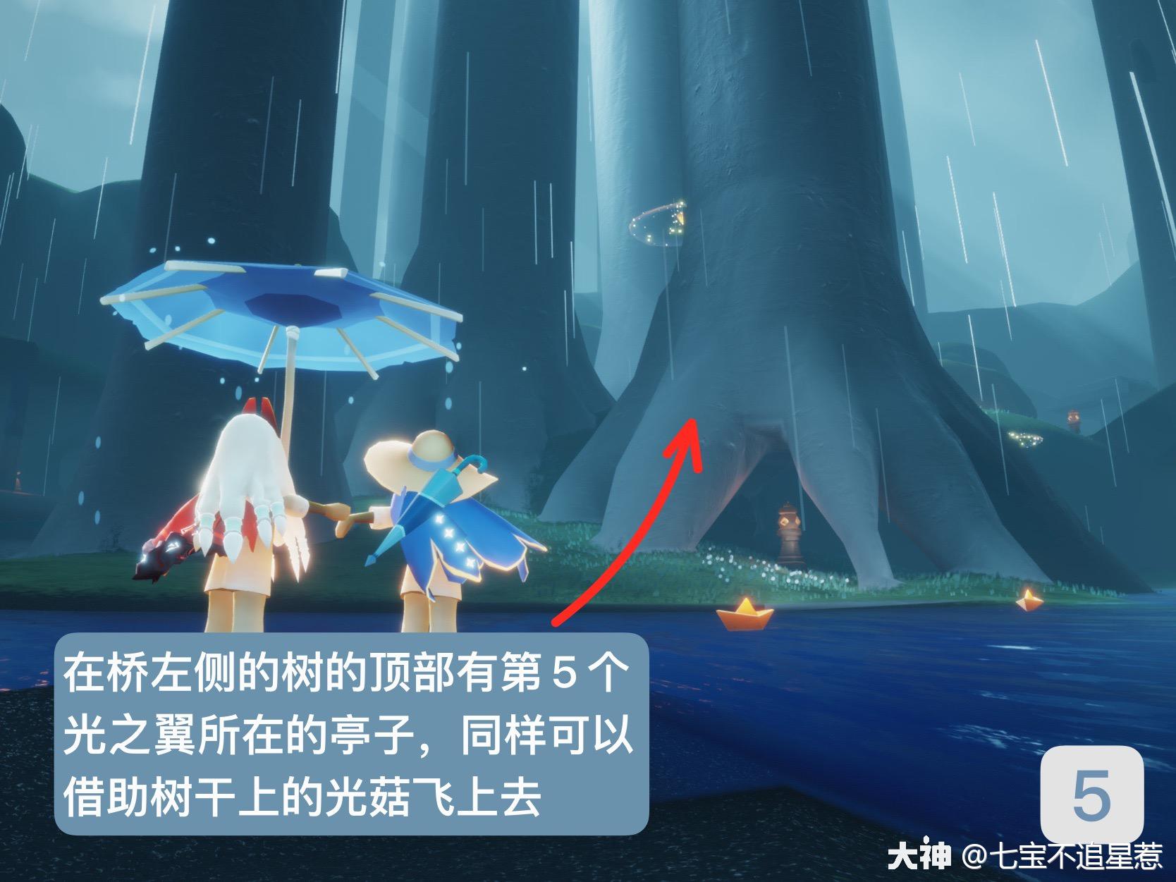 光翼位置大全之雨林篇