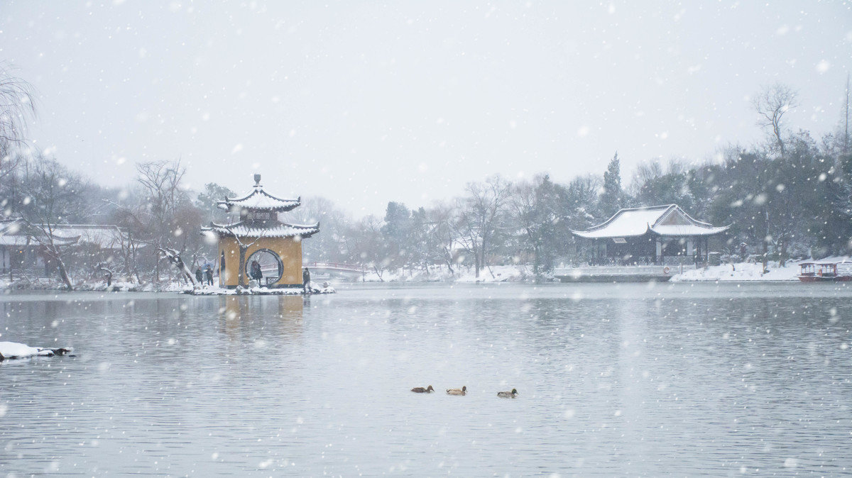 淅淅风吹面,纷纷雪积身. 朝朝不见日,岁. 来自最