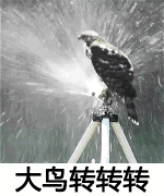 150_180gif 动态图 动图