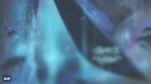 当暗黑3遇上星球大战：达斯·摩尔版武僧作品展示