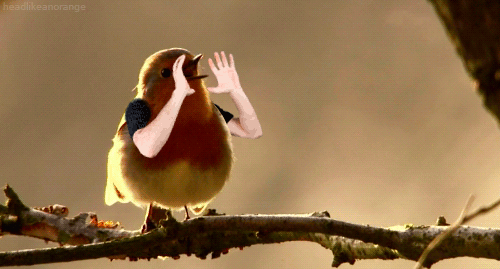 img-221487ba6abb885cbe41a3ec81c46e01.gif