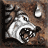 Ȯ~1.GIF