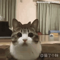 2429e41d865ae8fef443dfae2a12a8d0.gif