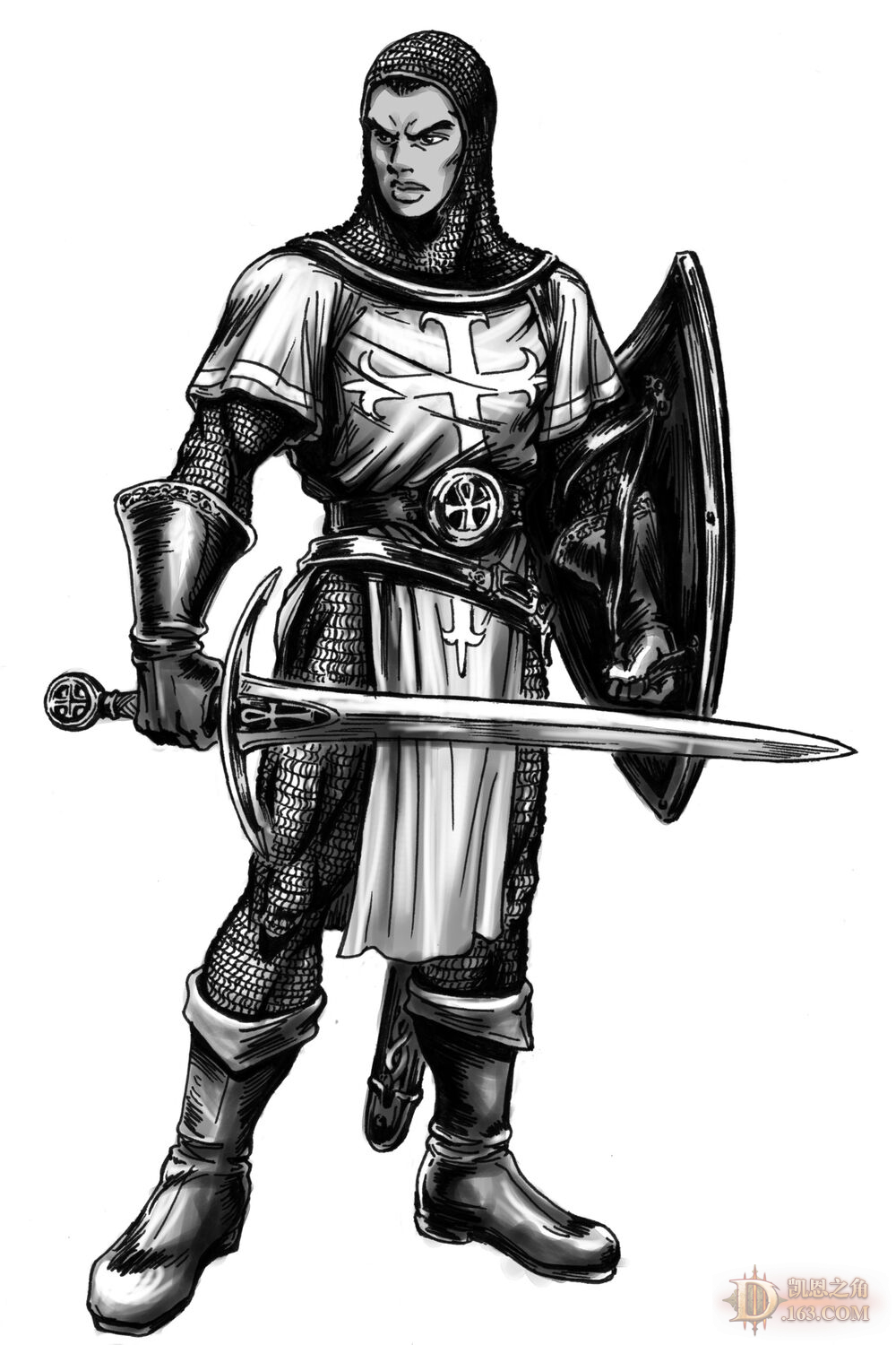 Paladin-gray.jpg