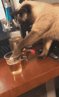 007.gif