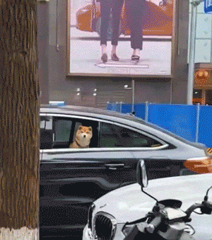 011.gif
