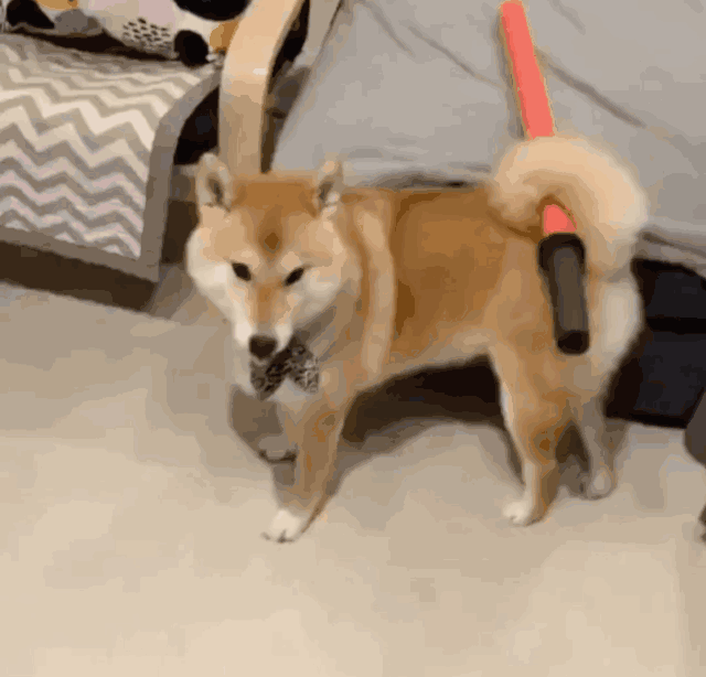 022.gif