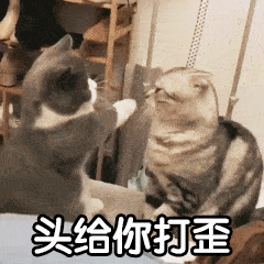 004.gif